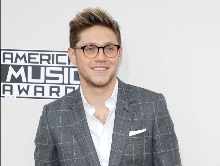 Niall Horan trägt einen karierten grauen Anzug für die American Music Awards